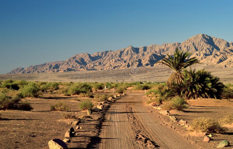 Desert road in valley of Arava, Eilat, Israel