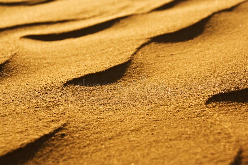 Desert sand close-up