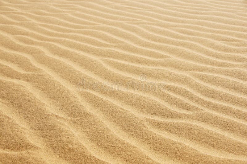 3 9 Desert Sand Photos Free Royalty Free Stock Photos From Dreamstime 3 9 Desert Sand Photos Free Royalty Free Stock Photos From Dreamstime