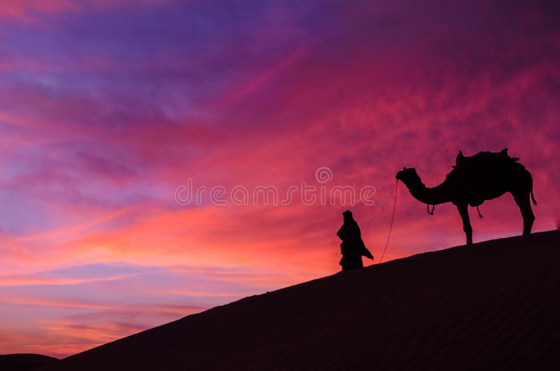 Desert scence with camel and dramatic sky