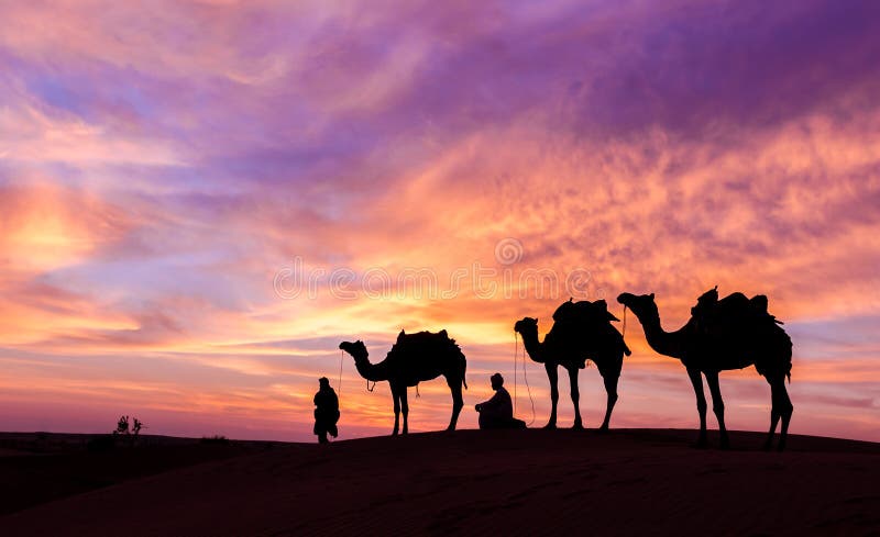 Desert scence with camel and dramatic sky stock image Desert scence with camel and dramatic sky stock image