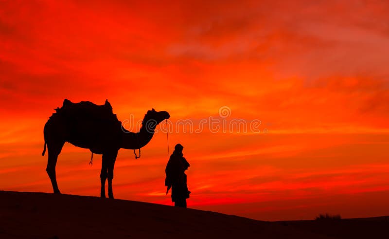 Desert scence with camel and dramatic sky