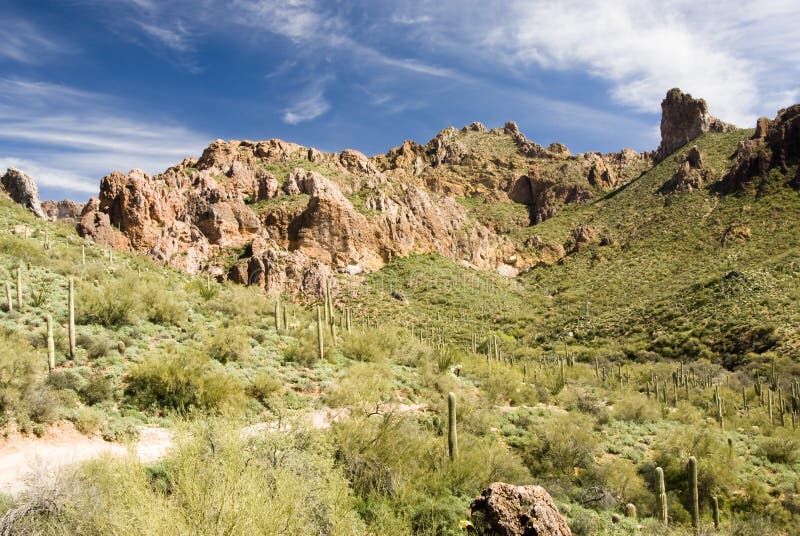 Desert scene