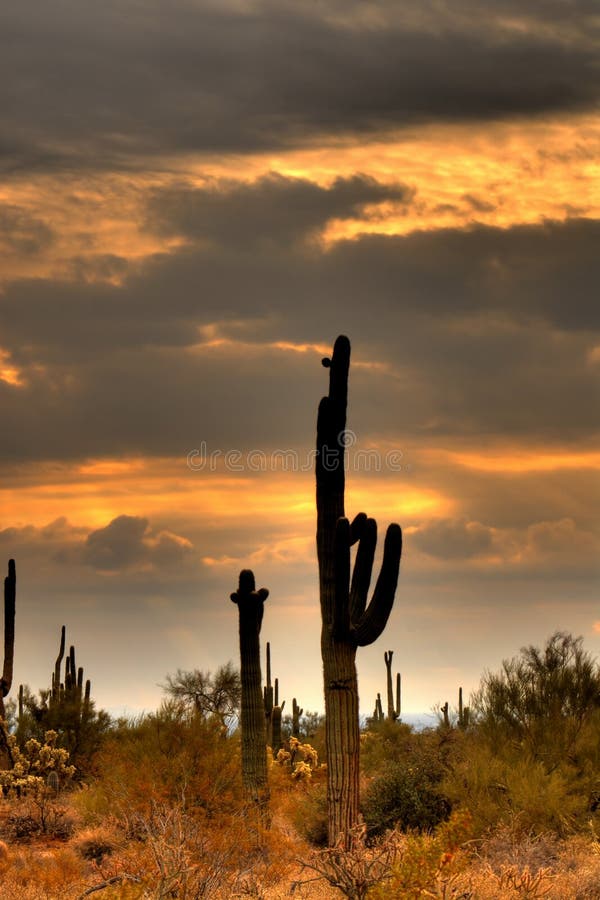 Desert Storm Approaching 2 stock photo