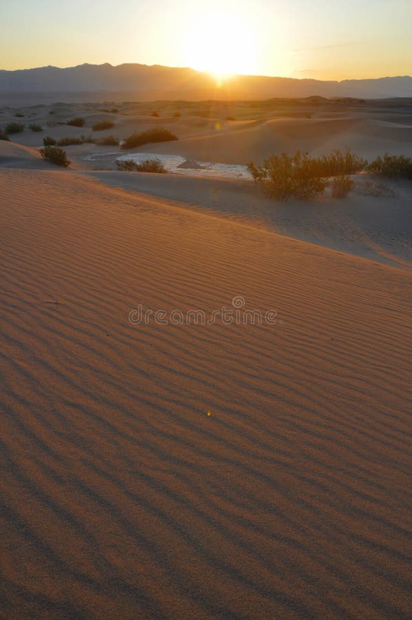 Desert Sunrise stock photo. Image of orange, landscape - 11726482