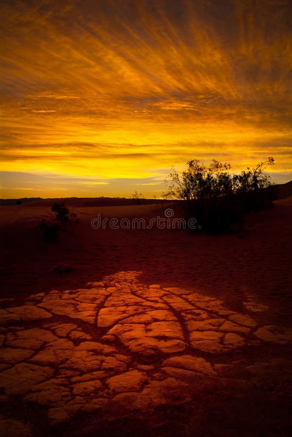 Desert sunrise stock images Desert sunrise stock images