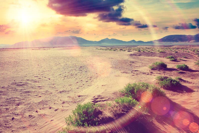 Desert sunrise.Desert travel adventures background stock photo Desert sunrise.Desert travel adventures background stock photo