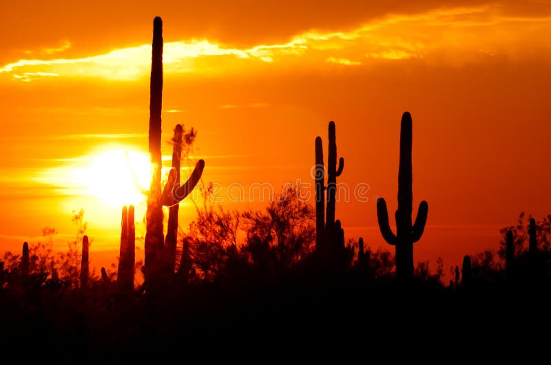 Desert Mountain Panorama stock image. Image of saguaro - 26779655