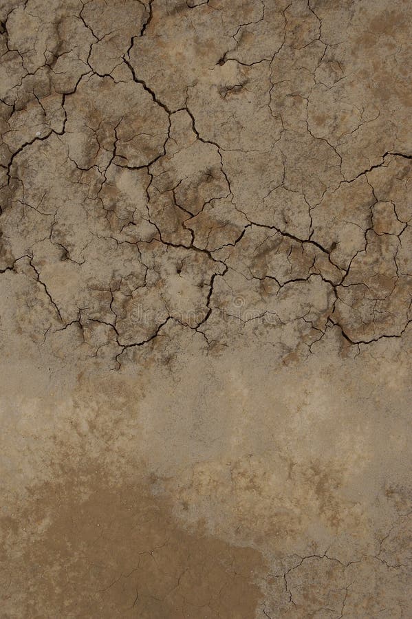 Cracked earth blending into hard pan with saline staining. Dry lakebed Mojave Desert, CA, USA. Cracked earth blending into hard pan with saline staining. Dry lakebed Mojave Desert, CA, USA