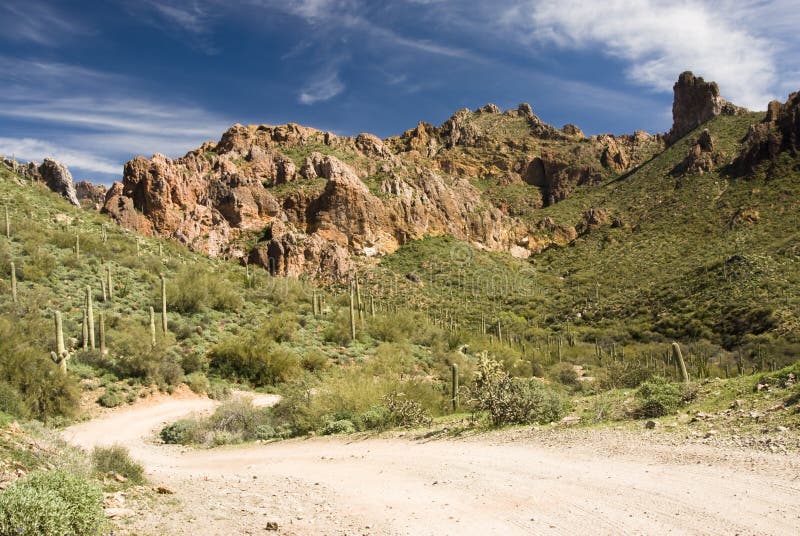 Desert wilderness