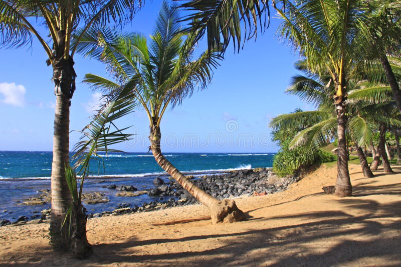 Deserted beach in Maui