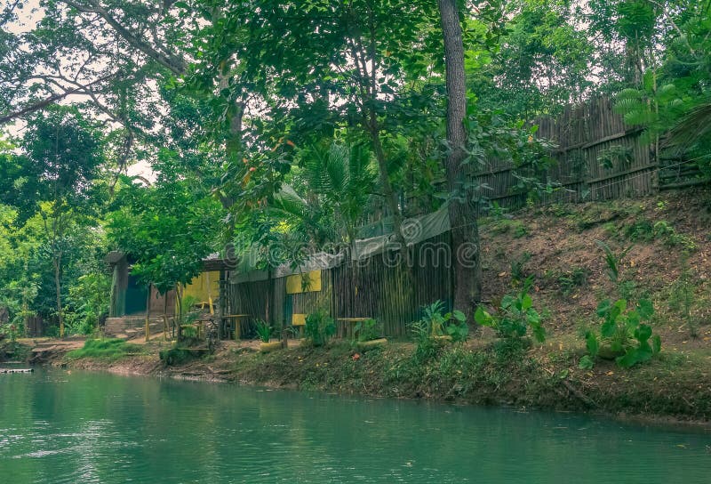 Deserted Shanty House at the Shore of a River Stock Photo Image of