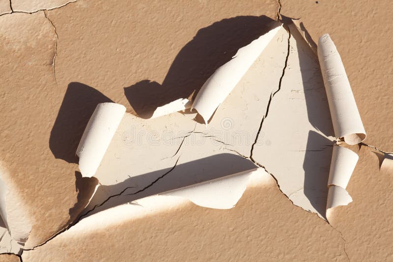 3 540 Desertification Photos Free Royalty Free Stock Photos From Dreamstime