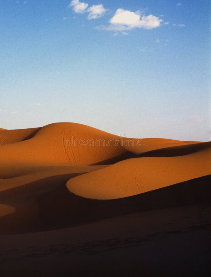Deserto immagini stock libere da diritti Deserto immagini stock libere da diritti