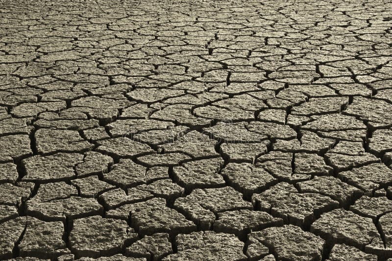 Deserto imagens de stock