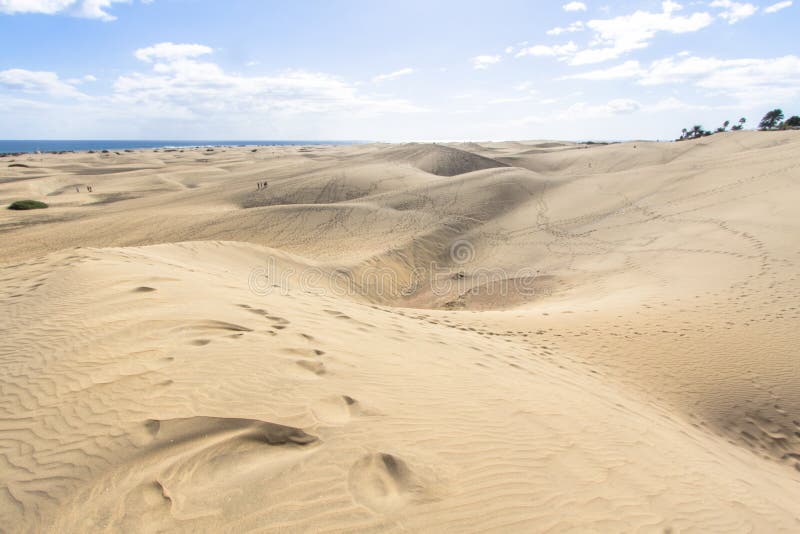 Deserto da duna de areia de Maspalomas, Canaria grande imagens de stock Deserto da duna de areia de Maspalomas, Canaria grande imagens de stock