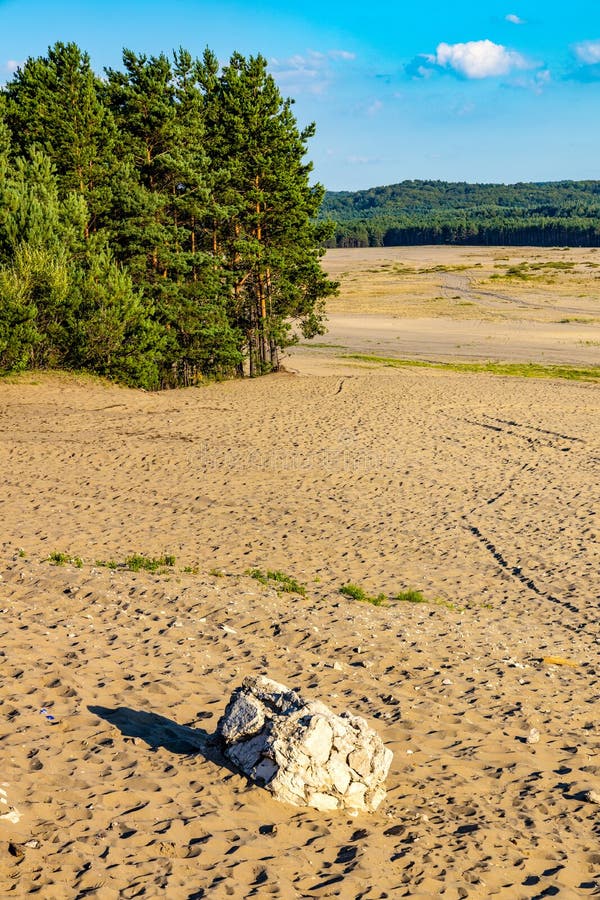 Deserto De Bledowska E a Maior área De Areia Movediça Na Polônia.  Localizada Na Fronteira Do Planalto Da Praça Da Praça Da Praça D Foto de  Stock - Imagem de colorido, floresta