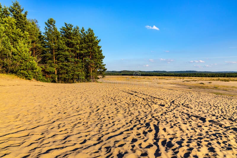 Deserto De Bledowska E a Maior área De Areia Movediça Na Polônia.  Localizada Na Fronteira Do Planalto Da Praça Da Praça Da Praça D Foto de  Stock - Imagem de colorido, floresta