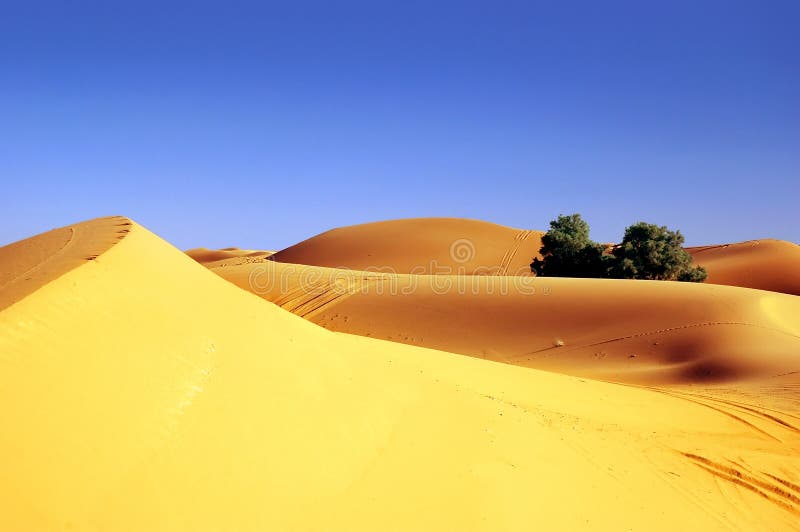 Deserto de Sahara foto de stock Deserto de Sahara foto de stock