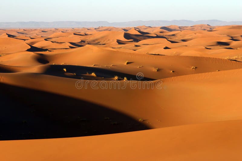 Deserto de Sahara fotos de stock Deserto de Sahara fotos de stock