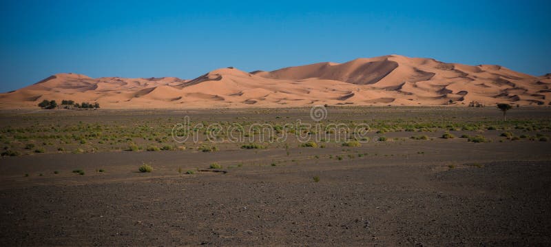 Deserto de Sahara no por do sol fotos de stock royalty free Deserto de Sahara no por do sol fotos de stock royalty free