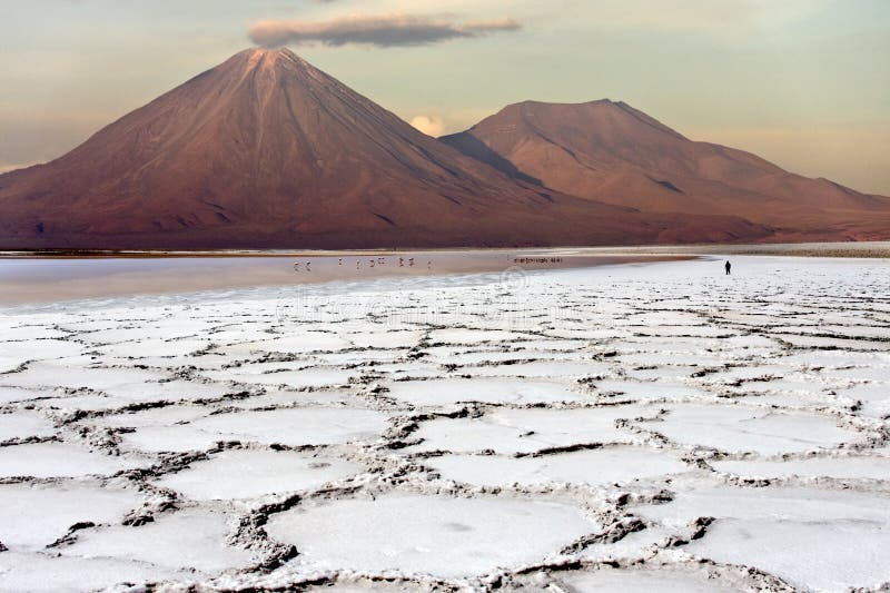 Deserto di Atacama nel Cile fotografia stock libera da diritti Deserto di Atacama nel Cile fotografia stock libera da diritti