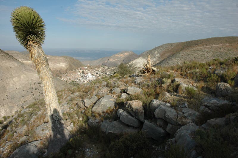 Deserto di Judean Bello cielo di giorno rocce del briciolo della vegetazione del deserto fotografie stock Deserto di Judean Bello cielo di giorno rocce del briciolo della vegetazione del deserto fotografie stock
