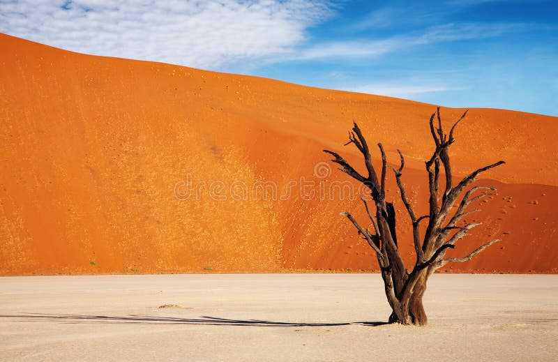 Deserto di Namib fotografia stock Deserto di Namib fotografia stock