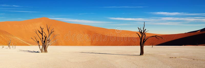 Deserto di Namib, Sossusvlei, Namibia immagini stock Deserto di Namib, Sossusvlei, Namibia immagini stock