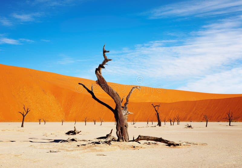 Deserto di Namib, Sossusvlei, Namibia fotografia stock libera da diritti Deserto di Namib, Sossusvlei, Namibia fotografia stock libera da diritti