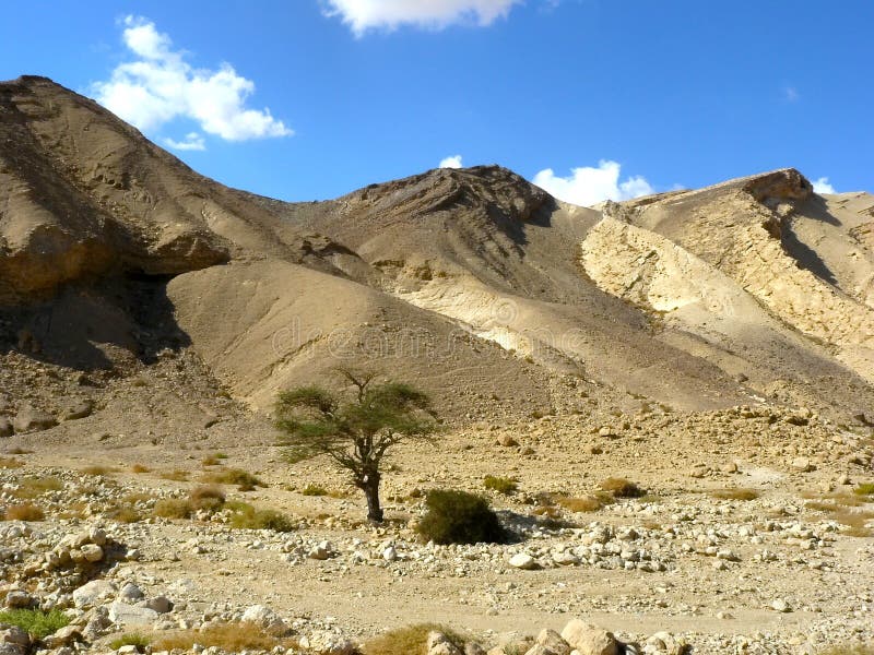 Deserto di Negev fotografia stock. Immagine