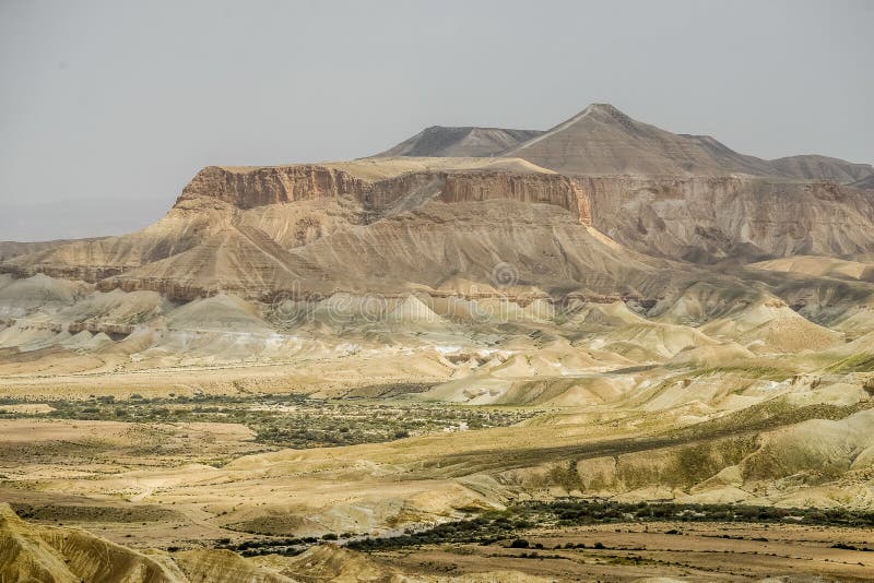 Deserto Di Negev Nell'Israele Immagine Stock