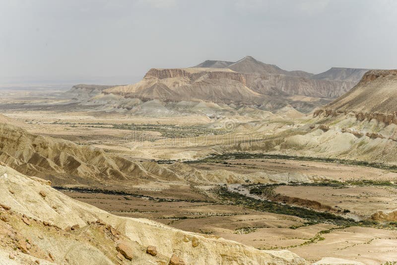 Deserto Di Negev Nell'Israele Fotografia Stock
