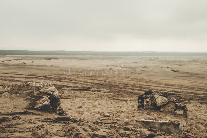 Deserto De Bledowska E a Maior área De Areia Movediça Na Polônia.  Localizada Na Fronteira Do Planalto Da Praça Da Praça Da Praça D Foto de  Stock - Imagem de colorido, floresta