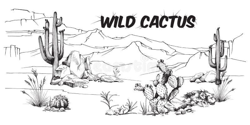 Cacto Do Deserto Ou Planta Cactos De Ilustração Isolada Do Vetor Plano Do  Clima árido. Ilustração do Vetor - Ilustração de verde, naughty: 241917513