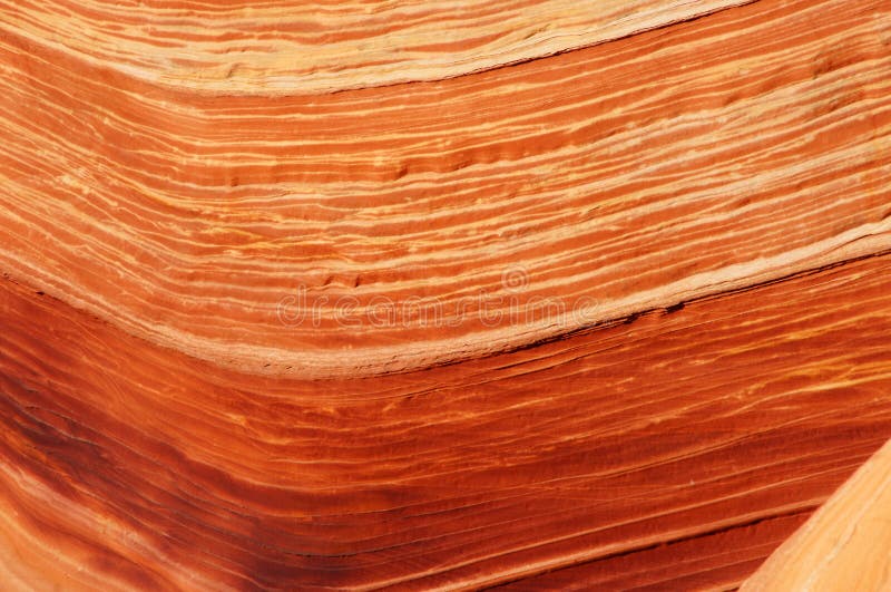 The Paria Canyon-Vermilion Cliffs Wilderness is a 112,500 acres (455 km2) wilderness area located in northern Arizona and southern Utah, USA, within the arid Colorado Plateau region. The wilderness is composed of broad plateaus, tall escarpments, and deep canyons. The Paria River flows through the wilderness before joining the Colorado River at Lee's Ferry, Arizona. The Paria Canyon-Vermilion Cliffs Wilderness is a 112,500 acres (455 km2) wilderness area located in northern Arizona and southern Utah, USA, within the arid Colorado Plateau region. The wilderness is composed of broad plateaus, tall escarpments, and deep canyons. The Paria River flows through the wilderness before joining the Colorado River at Lee's Ferry, Arizona.