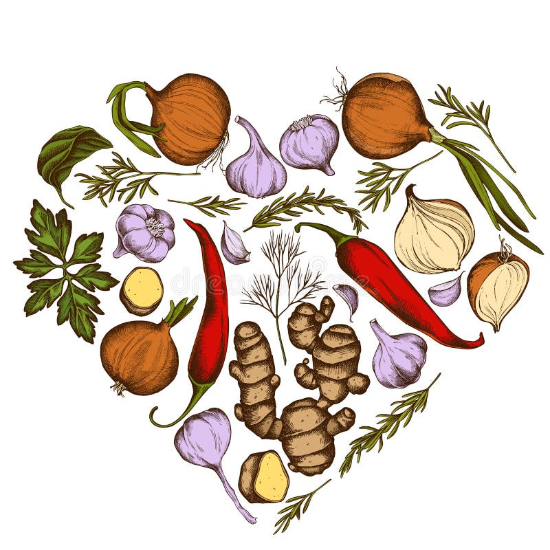 Heart floral design with colored onion, garlic, pepper, greenery, ginger, basil rosemary stock illustration. Heart floral design with colored onion, garlic, pepper, greenery, ginger, basil rosemary stock illustration