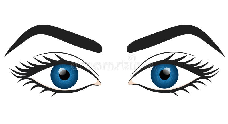 Woman blue eyes hand draw stock vector illustration design, eps 10. Woman blue eyes hand draw stock vector illustration design, eps 10