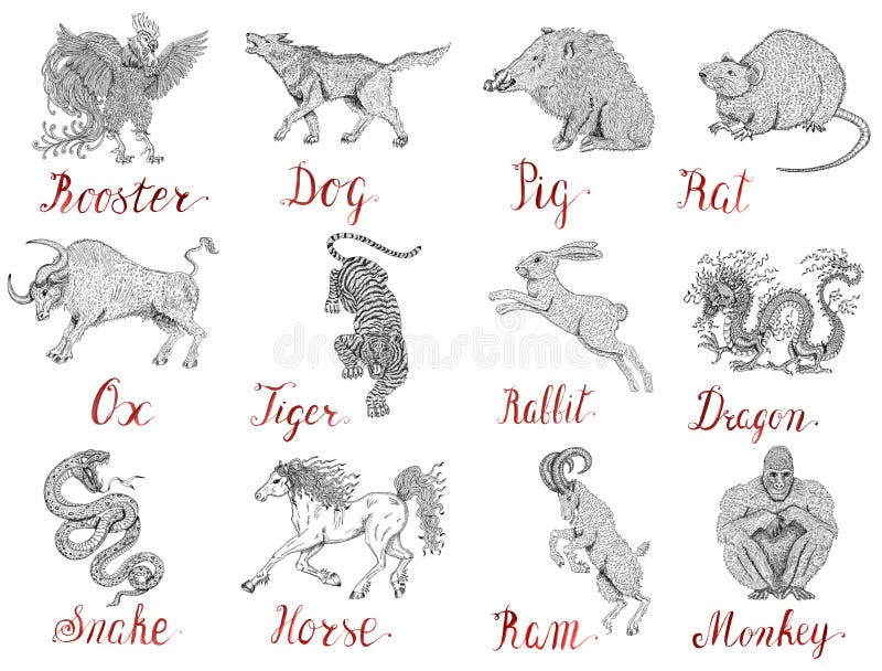 Design graphic set with twelve chinese zodiac animals vector illustration Design graphic set with twelve chinese zodiac animals vector illustration
