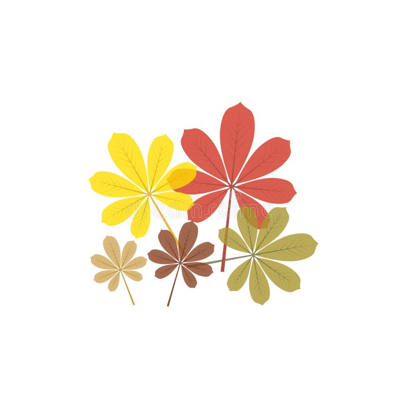 Design icona foglia di castagna di autunno o autunno illustrazione vettoriale Design icona foglia di castagna di autunno o autunno illustrazione vettoriale