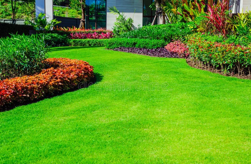Design paisagístico de jardim com arbustos multicoloridos intersetando com gramados verdes brilhantes por trás da casa é um jardim