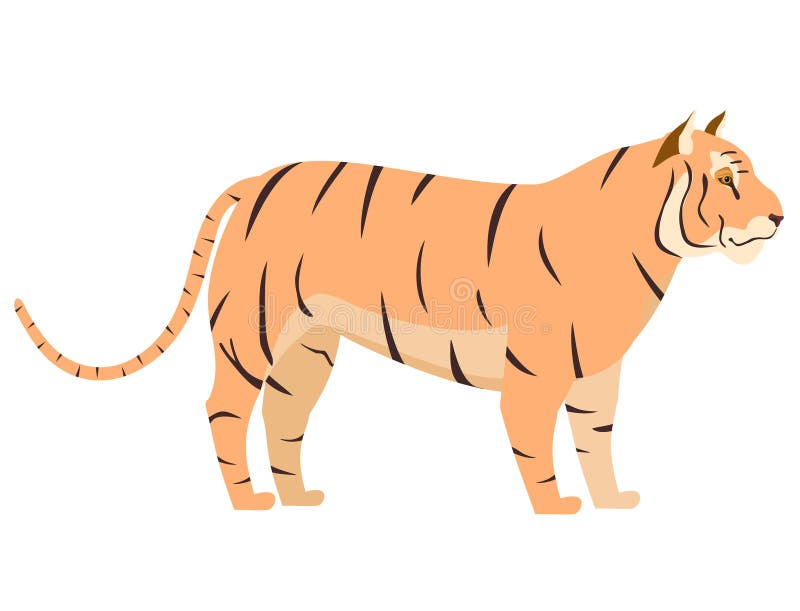 Tigre Em Uniforme De Médico Em Pé Fundo Branco PNG , 3d, Tigre, Desenho  Animado PNG Imagem para download gratuito