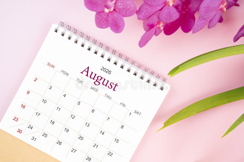 Desk Calendar for August 2026 with Blooming Pink Orchid. Flay Lay Stock
