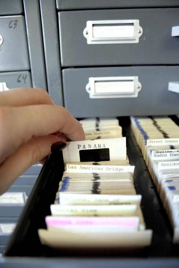 Looking through large slide catalog archive library. Looking through large slide catalog archive library