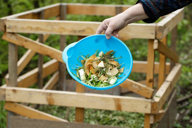 Organic kitchen waste gathered for composting in the garden. Natural gardening, waste sorting, food wasting concept. Organic kitchen waste gathered for composting in the garden. Natural gardening, waste sorting, food wasting concept.