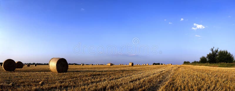 DESPUÉS de Cosecha-Panorama fotografía de archivo DESPUÉS de Cosecha-Panorama fotografía de archivo