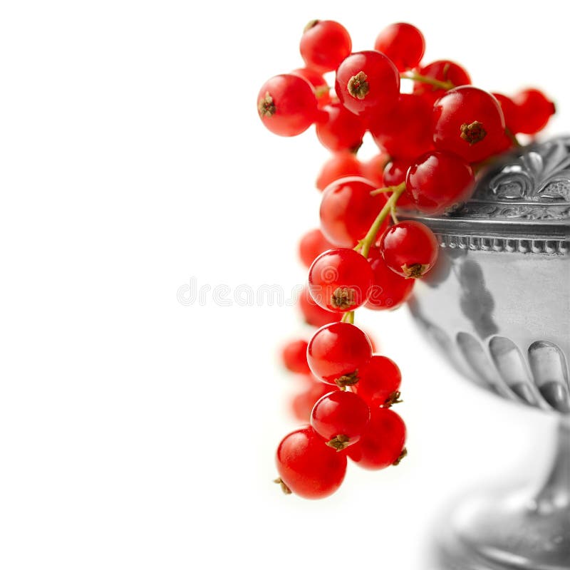 Part of my fine dining series of images. Shallow depth of field macro of fresh redcurrants in a silver container against a white background. The perfect image for a classy dessert menu design. Copy space. Part of my fine dining series of images. Shallow depth of field macro of fresh redcurrants in a silver container against a white background. The perfect image for a classy dessert menu design. Copy space.