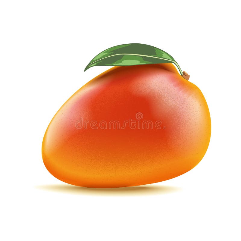 Dessert sano della frutta del mango della vitamina tropicale deliziosa naturale esotica di vettore fresco illustrazione di stock Dessert sano della frutta del mango della vitamina tropicale deliziosa naturale esotica di vettore fresco illustrazione di stock