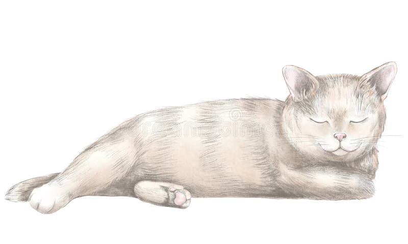 Dessin Au Crayon Avec Le Chat Brun De Mensonge Et De Sommeil