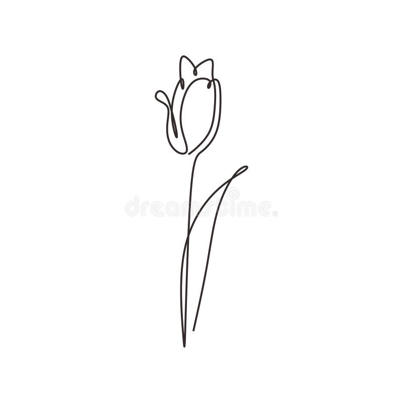 Tulip Fleur A Une Ligne Minimalisme De Dessin Vectoriel Illustration Style De Simplicite De Conception Tendance Illustration De Vecteur Illustration Du Conception Minimalisme 157756505